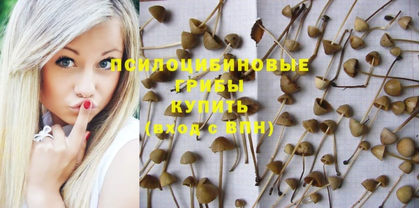 мдпв Белокуриха