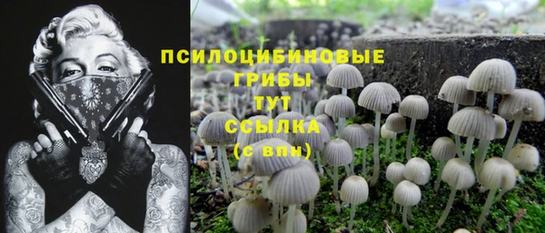 jwh Беломорск